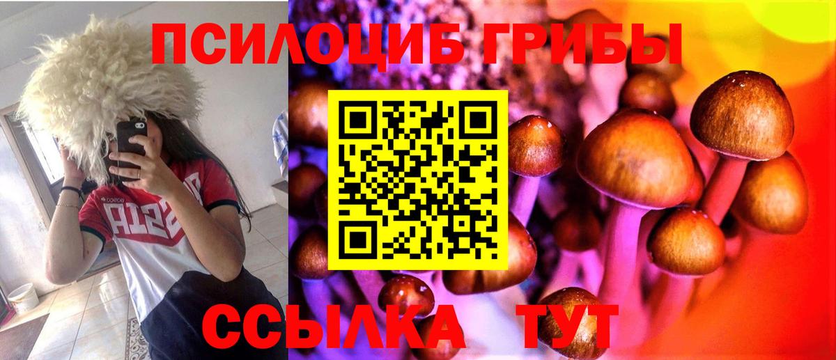Ржев  Псилоцибиновые грибы мухоморы  Вход с VPN 