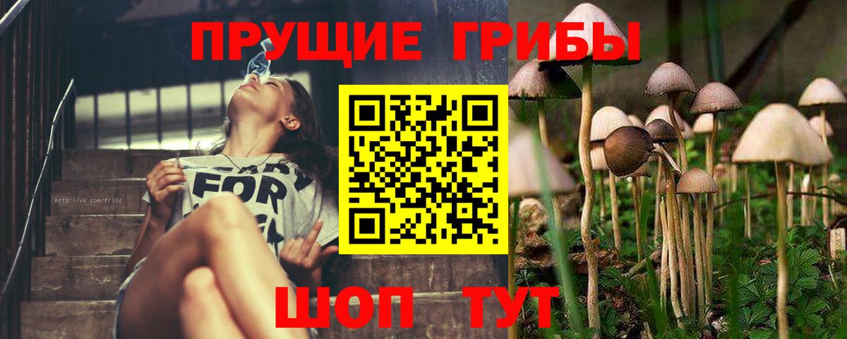 Псилоцибиновые грибы прущие грибы Ржев