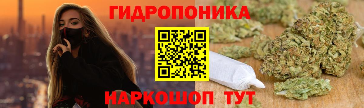 Бошки Шишки семена  Вход с VPN  Ржев  МАРИХУАНА сатива  МАРИХУАНА MAZAR  Бошки марихуана индика 